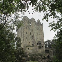 Blarney Castle, Cork Photo #8 by Matt Brown from flickr