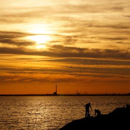 St Kilda Beach, Melbourne Photo #4 by Romain Pontida from flickr