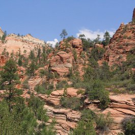 Kolob Canyons, Zion National Park Photo #5 by Ken Lund from flickr