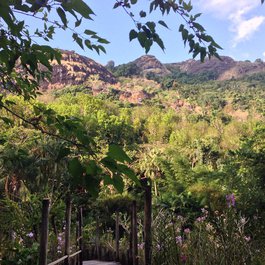 Garden Of The Sleeping Giant, Nadi Photo #1 by Jon Roig from flickr