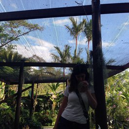 Garden Of The Sleeping Giant, Nadi Photo #7 by Jon Roig from flickr