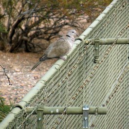 Phoenix Zoo, Tempe Photo #5 by William Herron from flickr