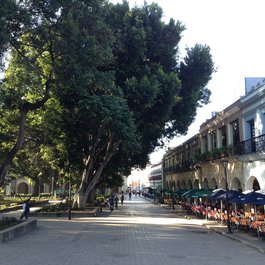 Zócalo Oaxaca, Oaxaca De Juárez Photo #4 by Ron Mader from flickr