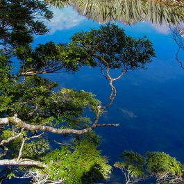 Mirror Lakes, Te Anau Photo #5 by Jocelyn Kinghorn from flickr