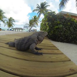 Little Cayman, Cayman Islands Photo #6 by Serge Melki from flickr