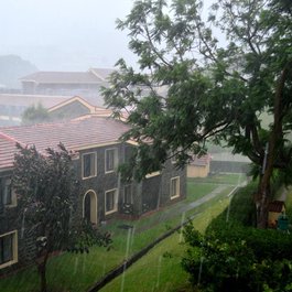 Kodaikanal, Madurai Photo #4 by DARSHAN SIMHA from flickr