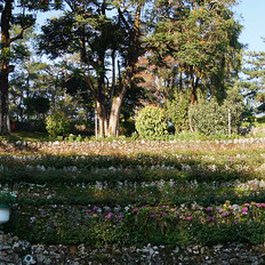 Camp John Hay, Baguio Photo #3 by Andrew and Annemarie from flickr