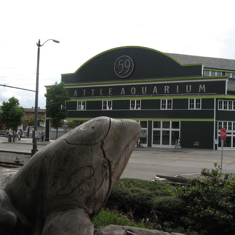 Seattle Aquarium, Seattle