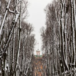 Summer Garden, Saint Petersburg Photo #5 by Alexey Komarov from flickr