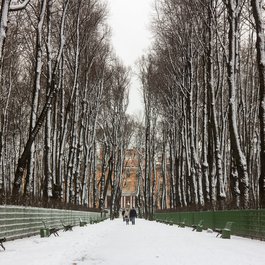 Summer Garden, Saint Petersburg Photo #4 by Alexey Komarov from flickr