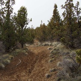 Pilot Butte, Bend Photo #9 by F. D. Richards from flickr