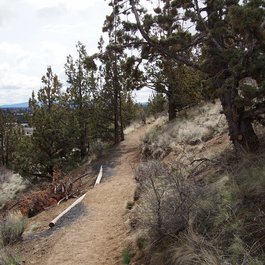 Pilot Butte, Bend Photo #6 by F. D. Richards from flickr