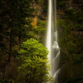 Multnomah Falls, Portland Photo #5 by Luke Detwiler from flickr
