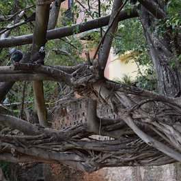 Parque Las Palomas, San Juan Photo #7 by Clembore Memotech from flickr