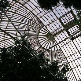 Botanic Gardens, Belfast Photo #9 by Dumphasizer from flickr