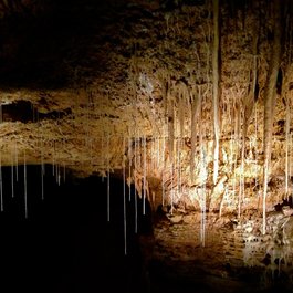 Natural Bridge Caverns, San Antonio Photo #2 by Roy Luck from flickr