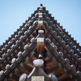 Negoro-ji Temple, Wakayama Photo #5 by Xiaojun Deng from flickr