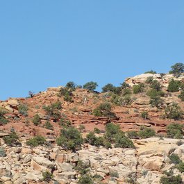 Cassidy Arch, Capitol Reef National Park Photo #5 by jimmy thomas from flickr