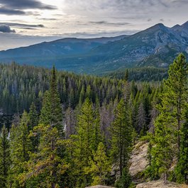 Nymph Lake, Rocky Mountain National Park Photo #3 by Andrew Russell from flickr