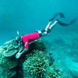 Tioman Island, Malaysia Photo #1 by Hairi from flickr