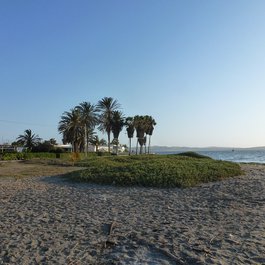Paracas, Ica Photo #8 by tacowitte from flickr