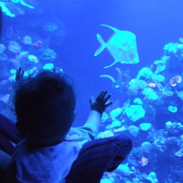 Palma Aquarium, Palma De Mallorca Photo #3 by Greg Heywood from flickr