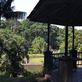 Bogor Botanical Gardens, Bogor Photo #1 by Victor Ulijn from flickr