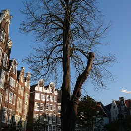 Netherlands itinerary, Begijnhof