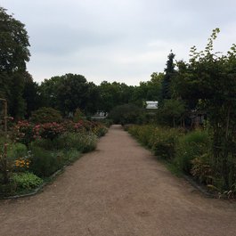 Frankfurt Am Main itinerary, Bethmann Park