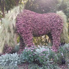 Atlanta Botanical Garden, Atlanta Photo #9 by Mark Doliner from flickr