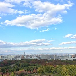 Nagoya Castle, Nagoya Photo #6 by bryan... from flickr