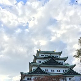 Nagoya Castle, Nagoya Photo #7 by bryan... from flickr