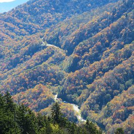 Newfound Gap, Gatlinburg Photo #8 by daveynin from flickr
