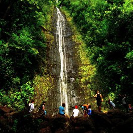Manoa Falls, Honolulu Photo #1 by Edmund Garman from flickr