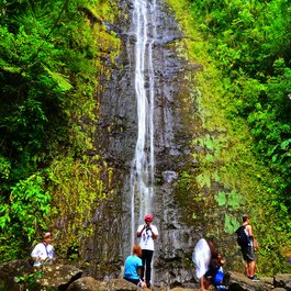 Manoa Falls, Honolulu Photo #2 by Edmund Garman from flickr