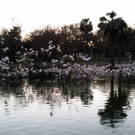 Jacksonville itinerary, Riverside Park