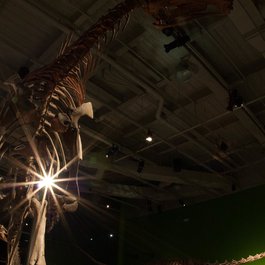 Iowa itinerary, Science Center Of Iowa