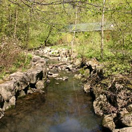 High Park, Toronto Photo #3 by The City of Toronto from flickr
