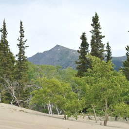 Carcross Desert, Yukon Photo #6 by Chris Hunkeler from flickr