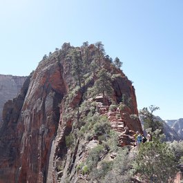 Angels Landing, Zion National Park Photo #8 by Niklas Tenhaef from flickr