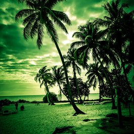 Smathers Beach, Key West Photo #5 by SridharSaraf from flickr