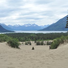 Carcross Desert, Yukon Photo #4 by Chris Hunkeler from flickr