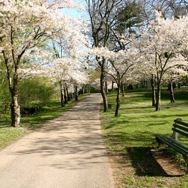 Toronto itinerary, High Park