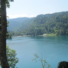 Lake Bled, Ljubljana Photo #9 by domjisch from flickr