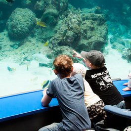 Okinawa Churaumi Aquarium, Naha Photo #6 by Kristian Mollenborg from flickr