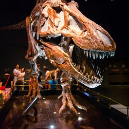 Royal Tyrrell Museum, Drumheller Photo #4 by Kurayba from flickr