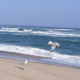 Nauset Beach, Massachusetts Photo #1 by Ted Kerwin from flickr