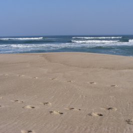 Nauset Beach, Massachusetts Photo #8 by Ted Kerwin from flickr
