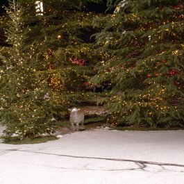 Temple Square, Park City Photo #5 by Daniel Burton from flickr