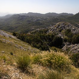 Lovćen, Montenegro Photo #4 by Alexey Komarov from flickr